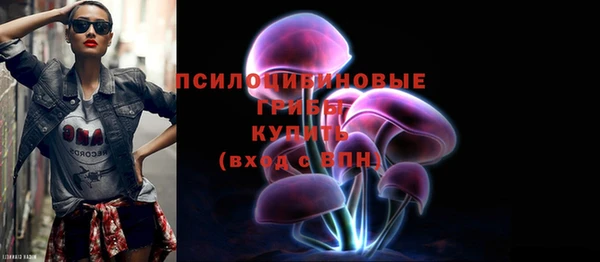 скорость Алзамай