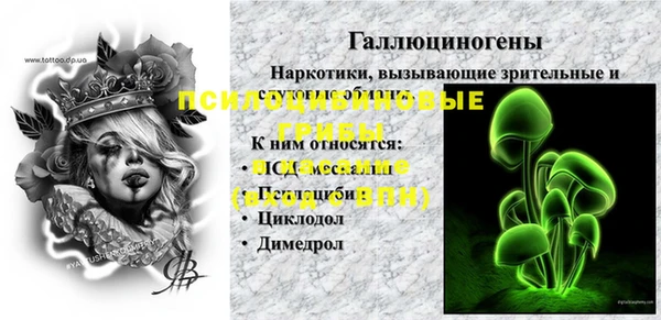 молекула духа Алексеевка