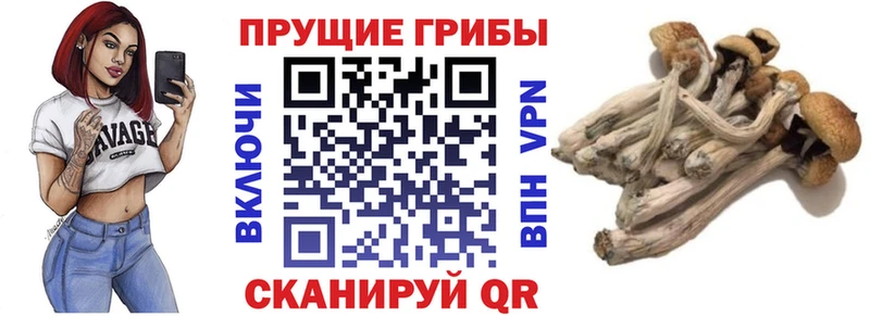 ссылка на мегу ТОР  где продают наркотики  Белореченск  Галлюциногенные грибы мухоморы 