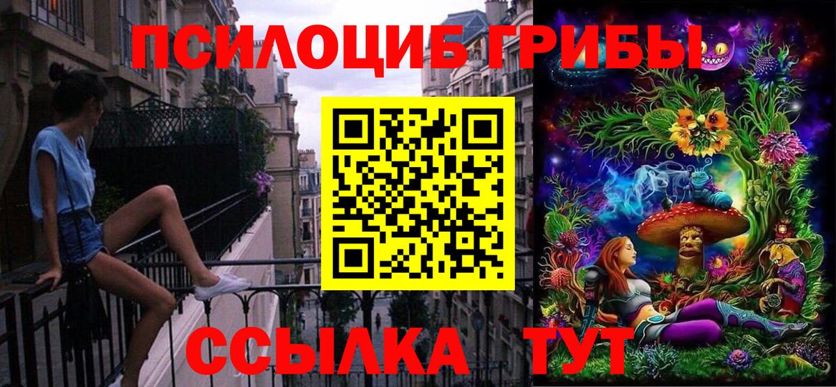 Галлюциногенные грибы Psilocybe  Вход с VPN  Псилоцибиновые грибы GOLDEN TEACHER  Белореченск 