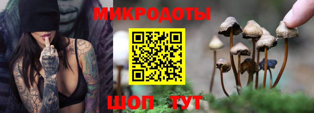 Галлюциногенные грибы мицелий Белореченск